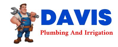 Trusted plumber in HAMLET